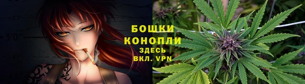 a pvp Арсеньев