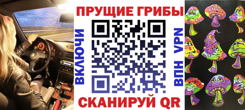 Псилоцибиновые грибы Cubensis  сколько стоит  блэк спрут сайт  Байкальск 
